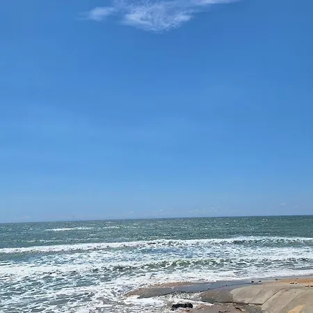 Au Bord De L'eau *
