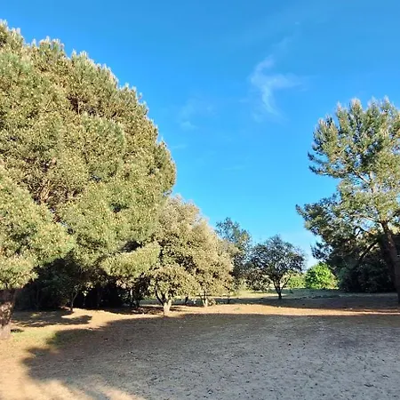 Au Bord De L'eau Appartamento *